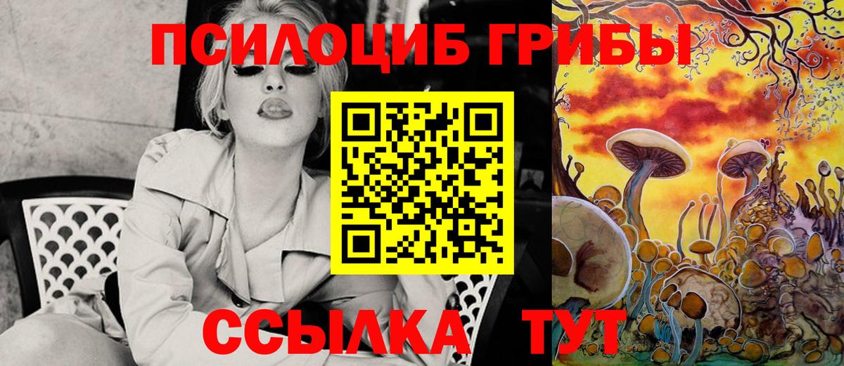 Ливны  Галлюциногенные грибы Psilocybe  Вход с VPN  Псилоцибиновые грибы прущие грибы 